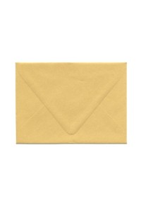 A-6 Gold Envelope