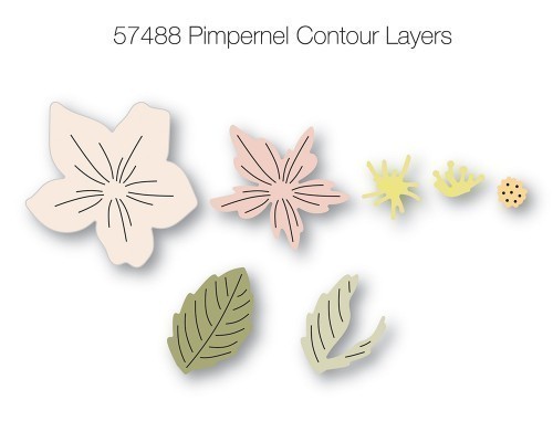 Pimpernel Contour Layers