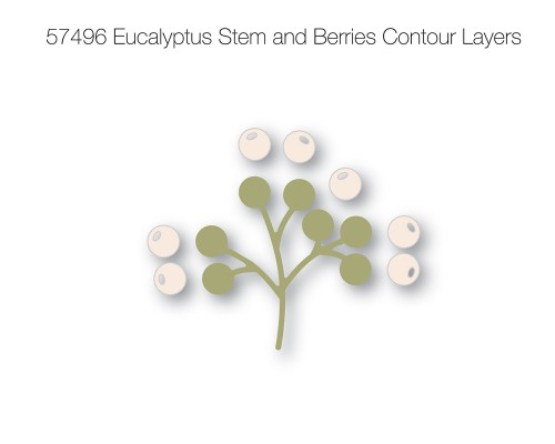 Eucalyptus Stem and Berries Contour Layers