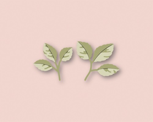 Dainty Rose and Leaves Contour Layers