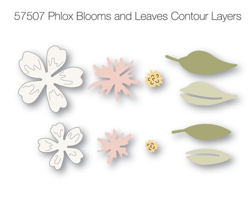 Phlox Blooms and Leaves Contour Layers