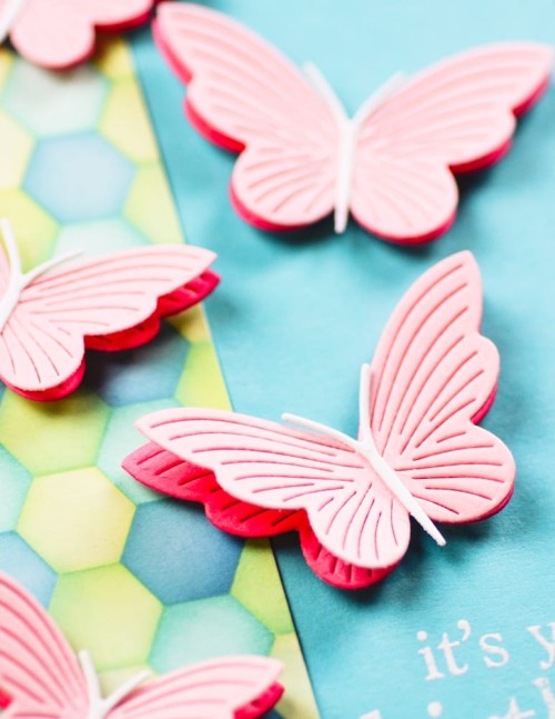 Shown with 57574 Butterflies and 42045