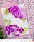Contempo Greetings clear stamp and die set